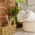 Sasfeszek Piheno * Koszegszerdahely